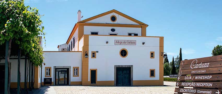 vins alentejo cartuxa