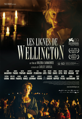 les-lignes-de-wellington