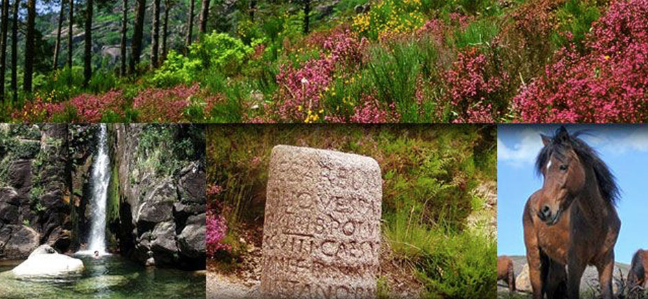 Peneda Gerês, visitez ses villages traditionnels, ses fleuves et ses vallées