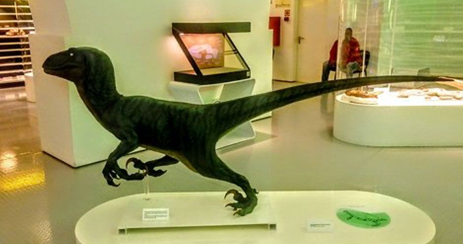 Le musée d’Histoire Naturelle sintra