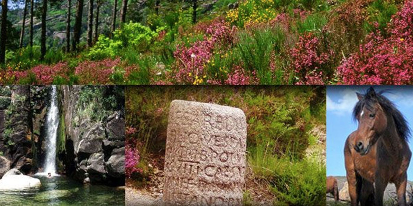 Parque Nacional da Peneda-Gerês