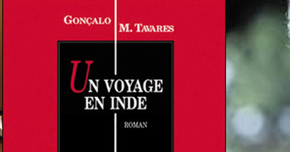 un-voyage-en-inde-tavares