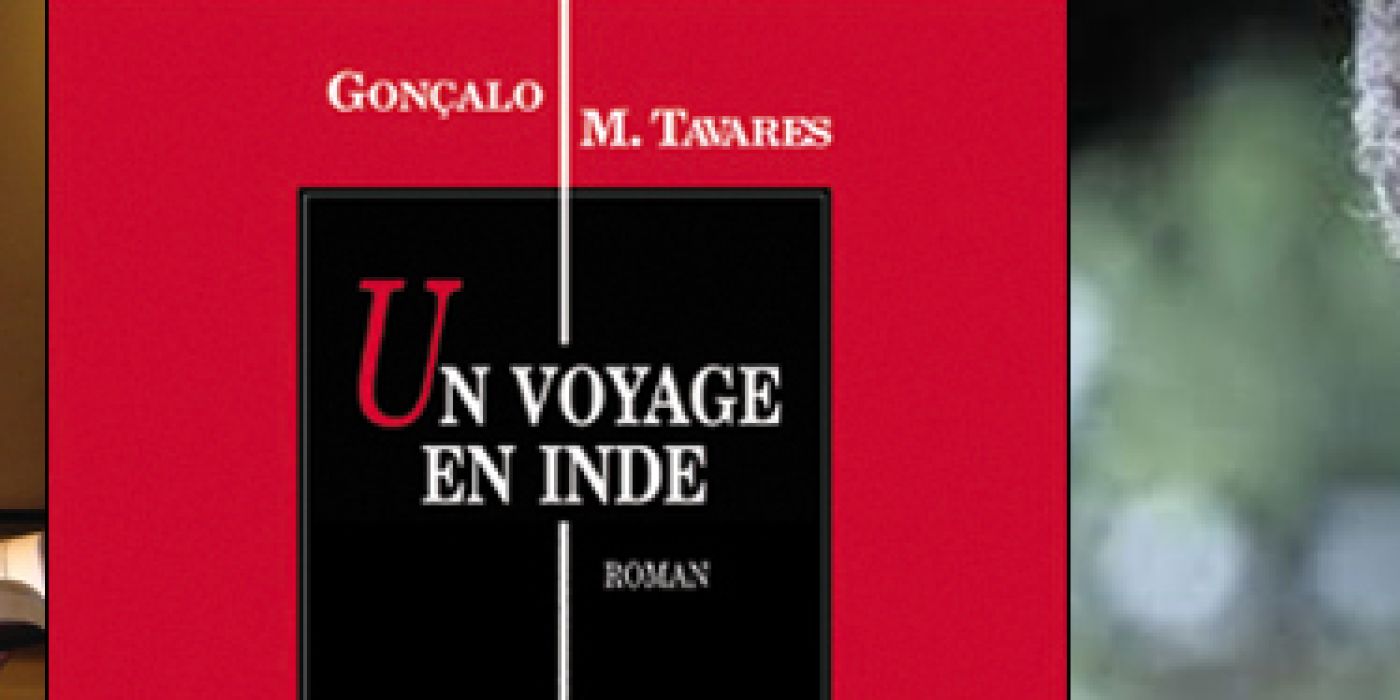 un-voyage-en-inde-tavares